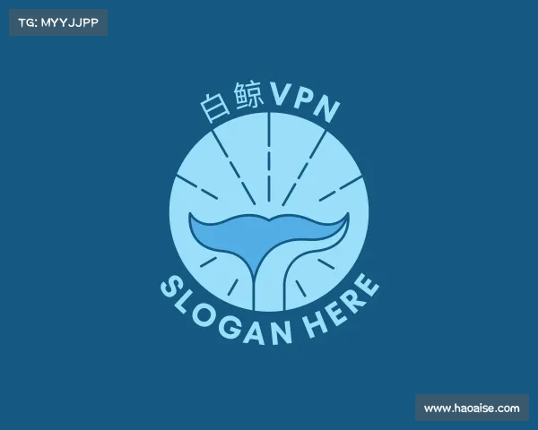 了解白鲸VPN
